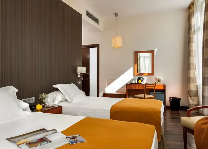 De Francia Y Paris Cadiz